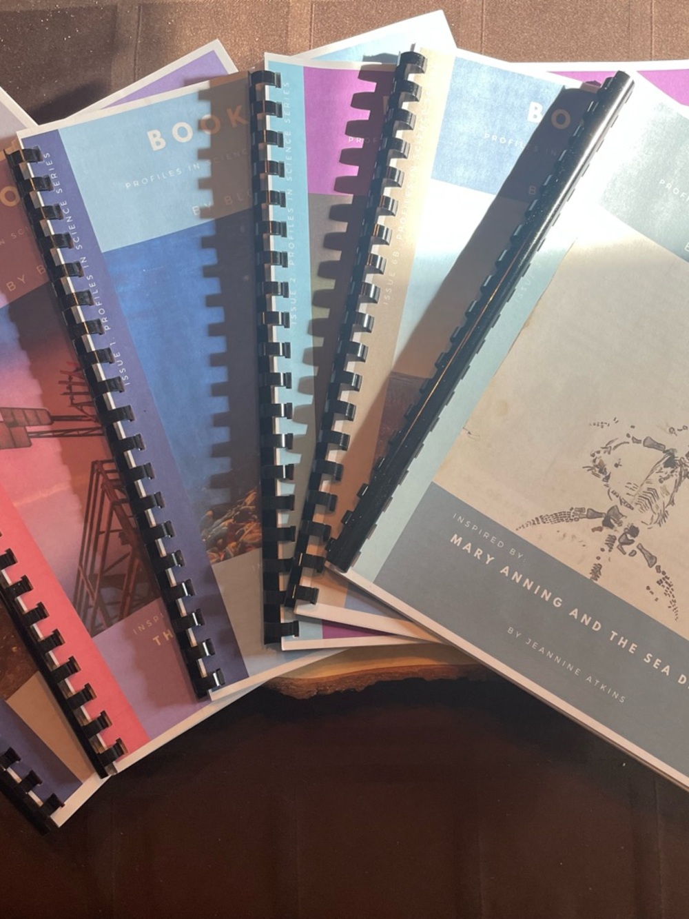 Blossom and root grade 1 “Book Seeds”